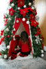 Why Every Child Dreams of Going Inside a Christmas Tree