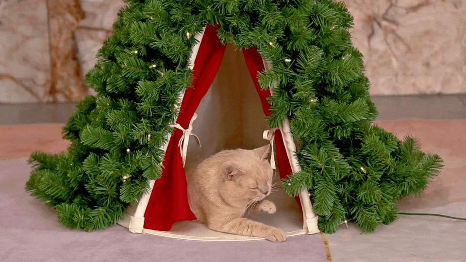 🐾 Christmas Tree Pet Tent – Calming Pet Tent & Cozy Dog House (MESH Comfort Space for Small Pets)