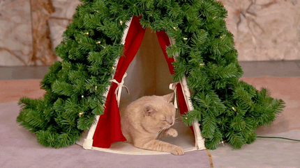 🐾 Christmas Tree Pet Tent – Calming Pet Tent & Cozy Dog House (MESH Comfort Space for Small Pets)